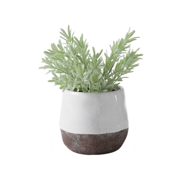 Ceramic crackle 2 tone vase