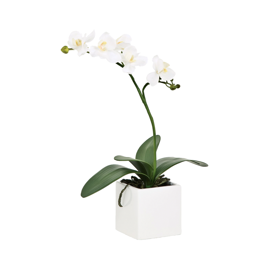 Potted faux orchid